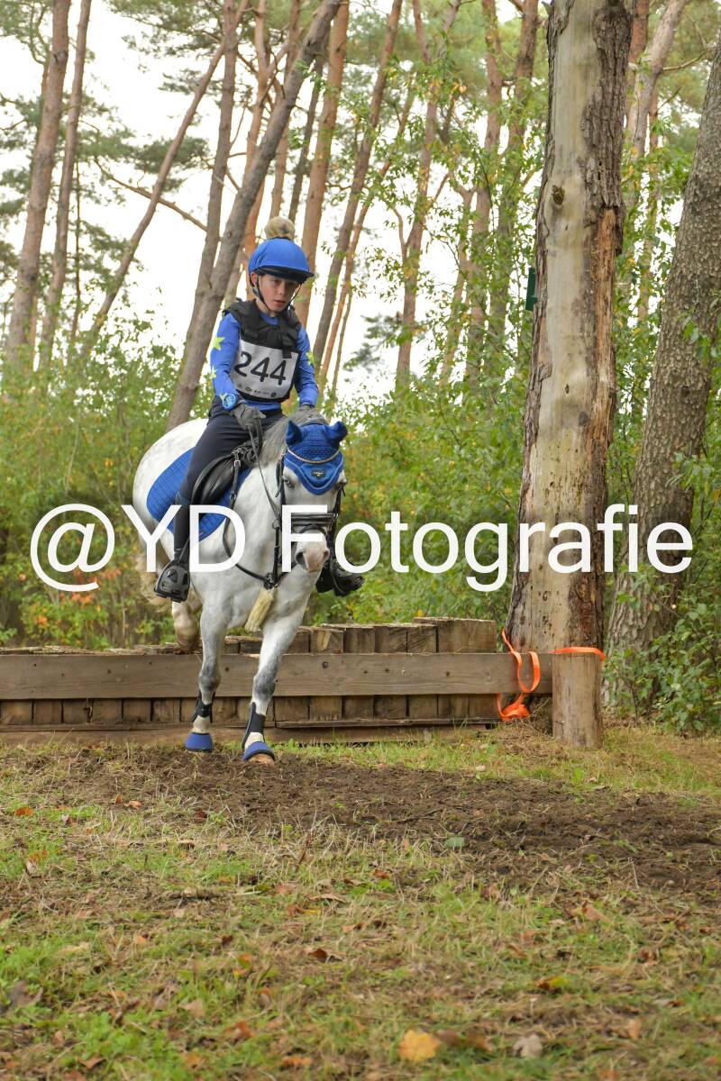 eventing-grobbendonk-4617-standard.jpg