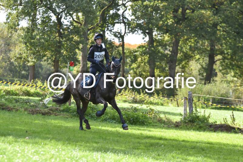 eventing-merksplas-8687-standard.jpg