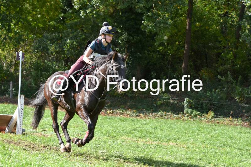 eventing-merksplas-8701-standard.jpg