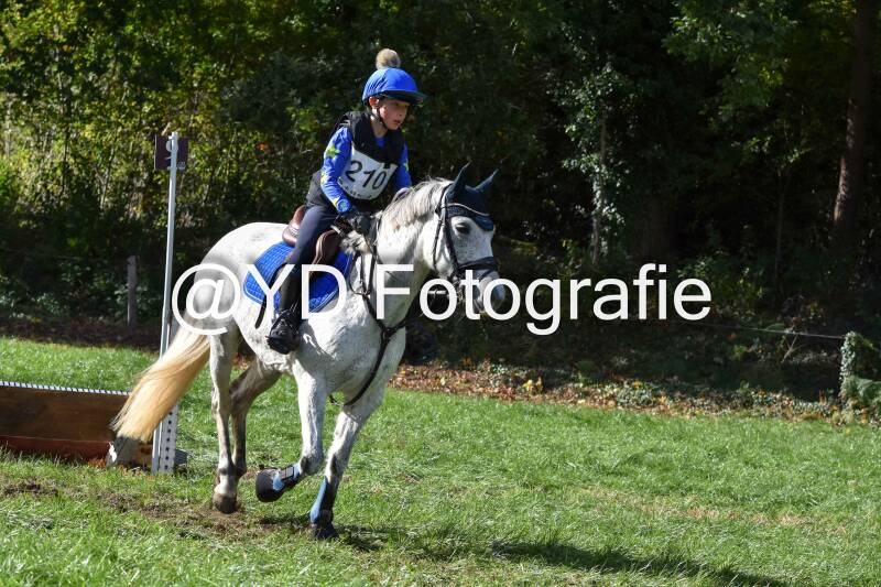 eventing-merksplas-8708-standard.jpg