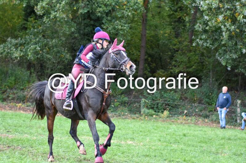 eventing-merksplas-8717-standard.jpg