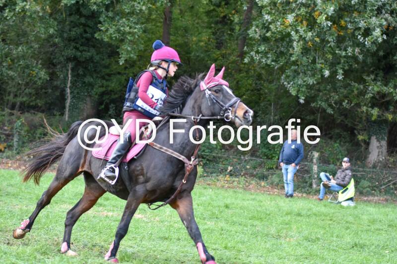 eventing-merksplas-8718-standard.jpg