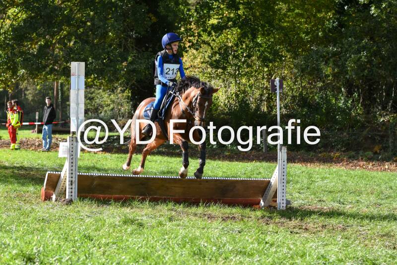 eventing-merksplas-8720-standard.jpg