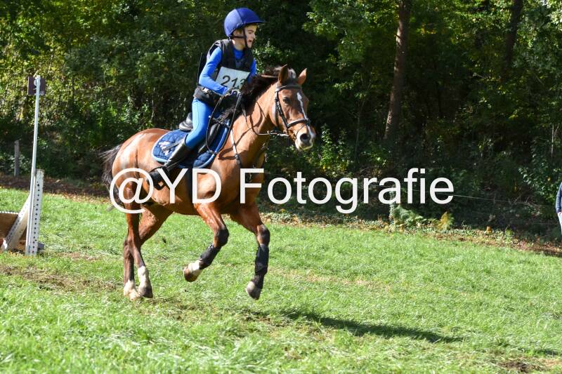 eventing-merksplas-8725-standard.jpg