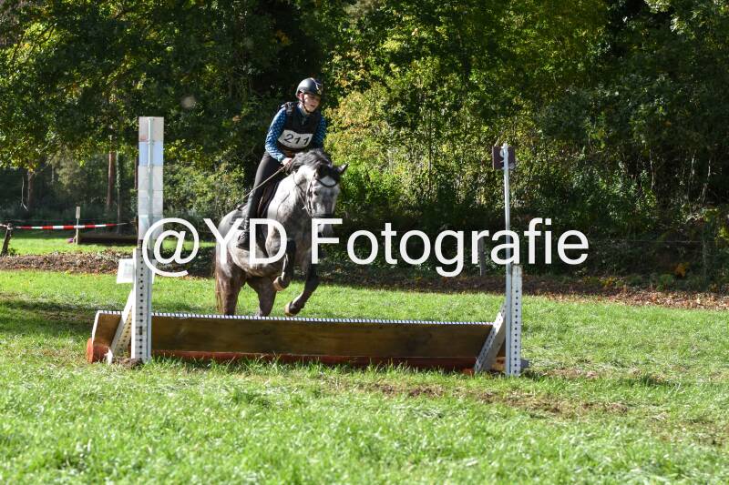 eventing-merksplas-8727-standard.jpg