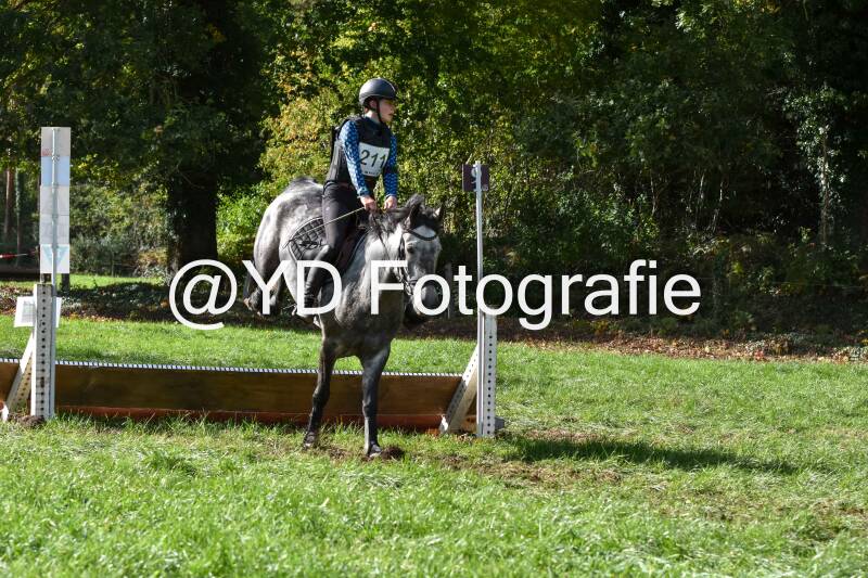 eventing-merksplas-8730-standard.jpg