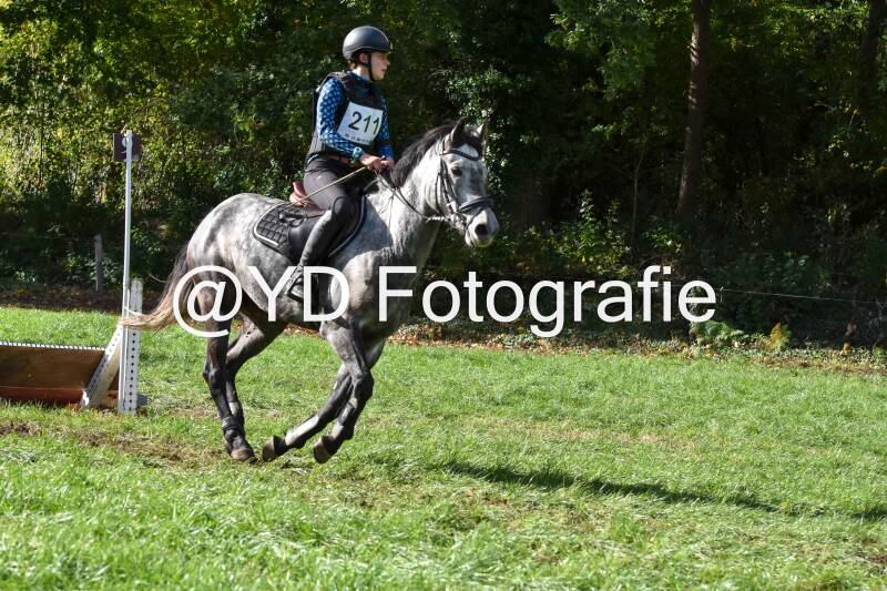 eventing-merksplas-8732-standard.jpg