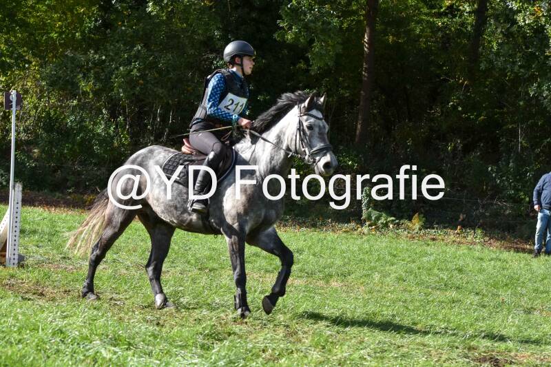eventing-merksplas-8733-standard.jpg