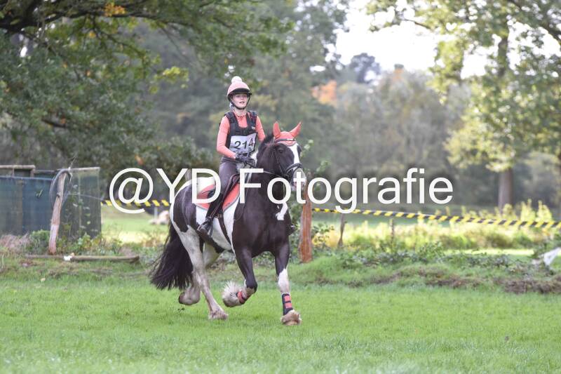 eventing-merksplas-8735-standard.jpg