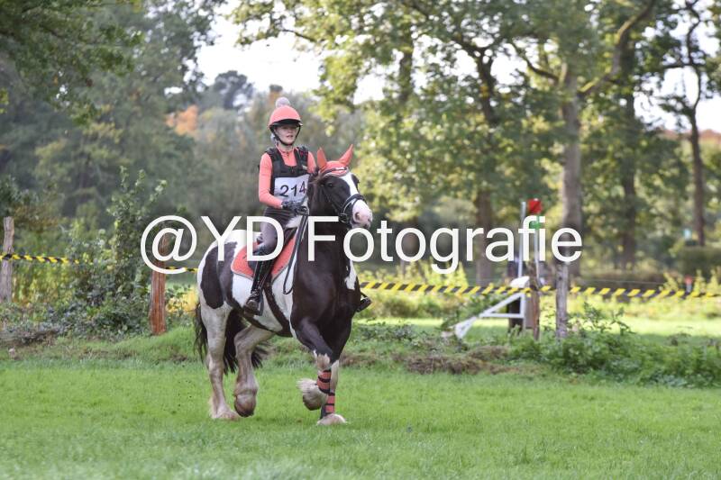 eventing-merksplas-8736-standard.jpg