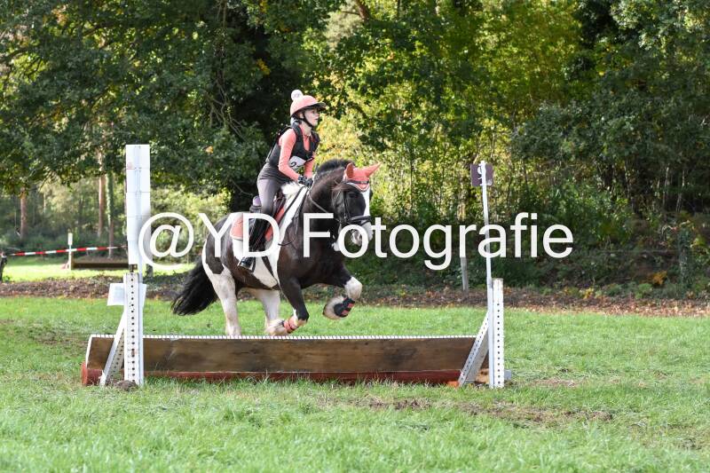 eventing-merksplas-8737-standard.jpg
