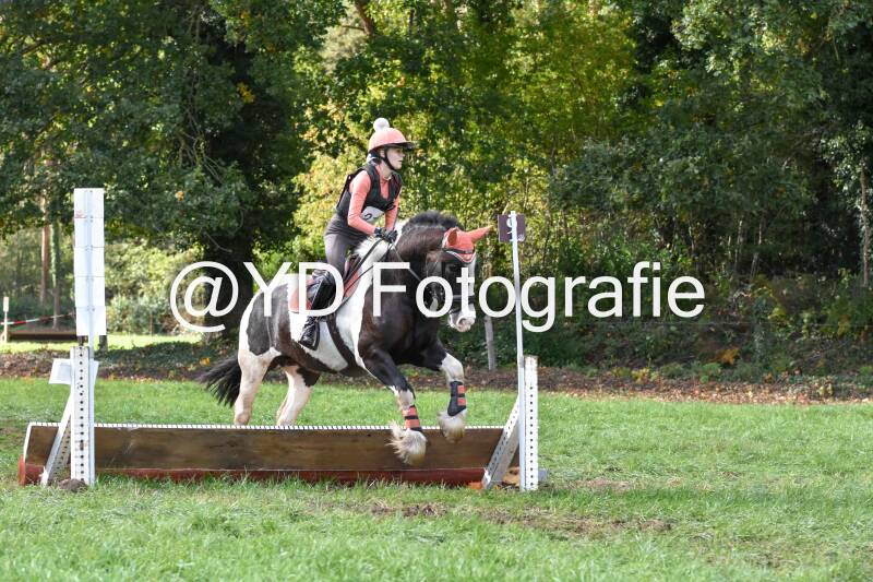 eventing-merksplas-8738-standard.jpg
