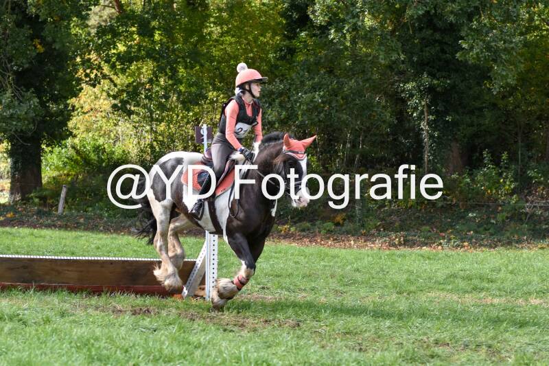 eventing-merksplas-8740-standard.jpg