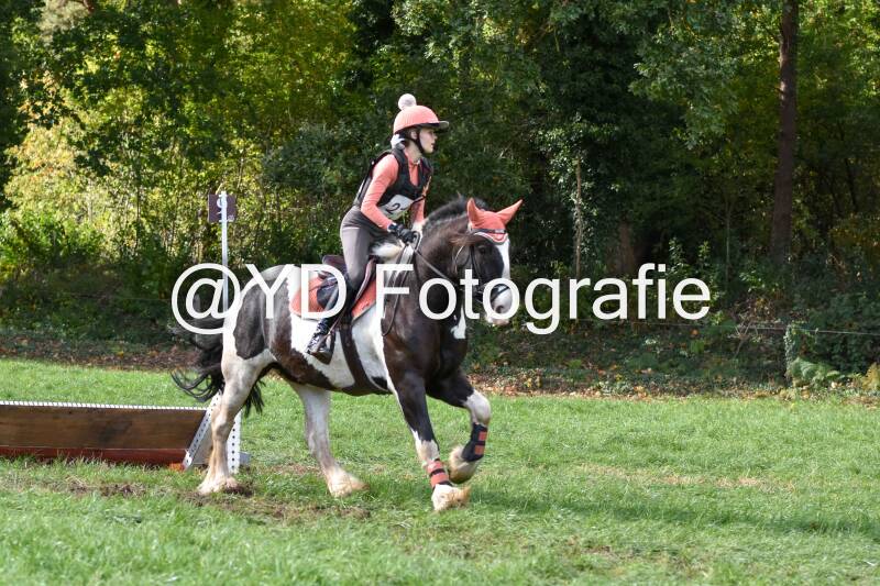eventing-merksplas-8741-standard.jpg