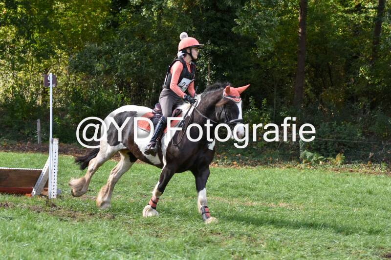 eventing-merksplas-8742-standard.jpg
