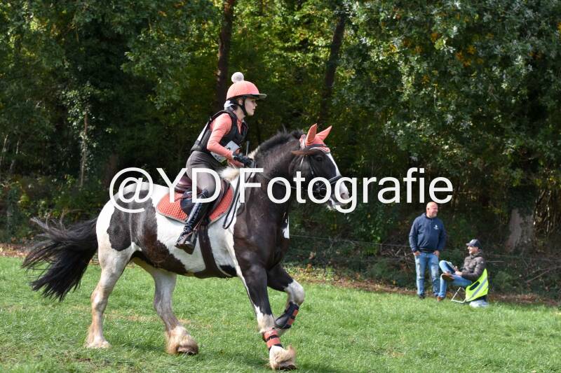 eventing-merksplas-8743-standard.jpg