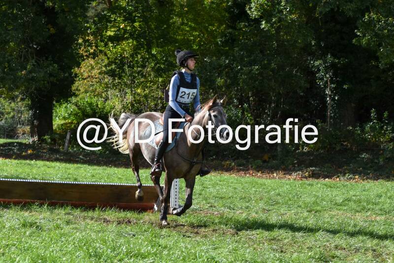 eventing-merksplas-8747-standard.jpg