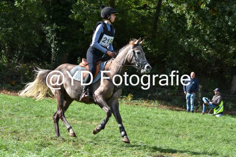 eventing-merksplas-8750-standard.jpg