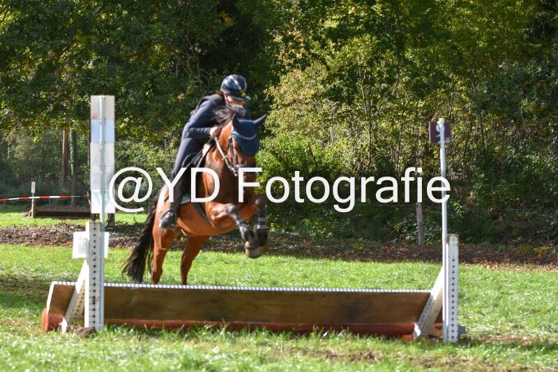 eventing-merksplas-8751-standard.jpg