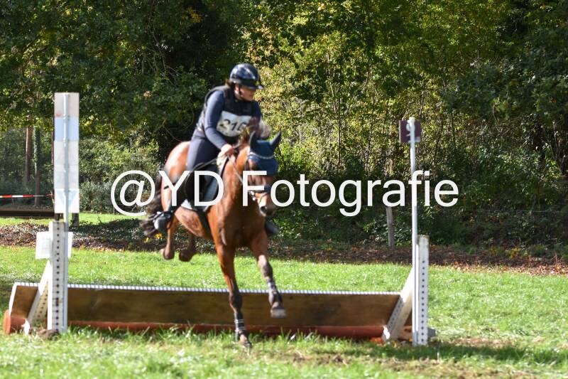 eventing-merksplas-8752-standard.jpg