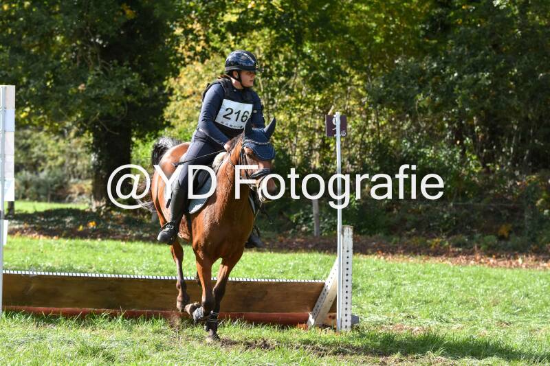 eventing-merksplas-8753-standard.jpg