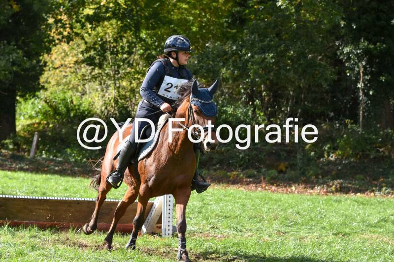 eventing-merksplas-8755-standard.jpg