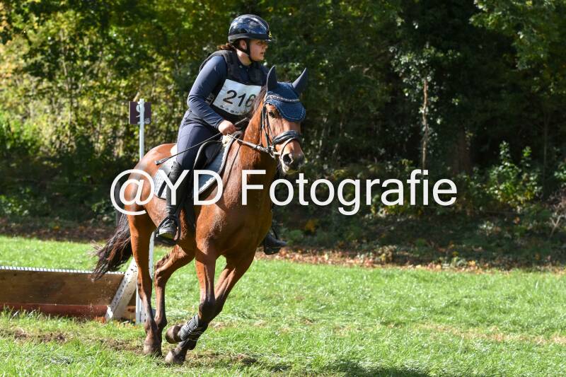 eventing-merksplas-8756-standard.jpg
