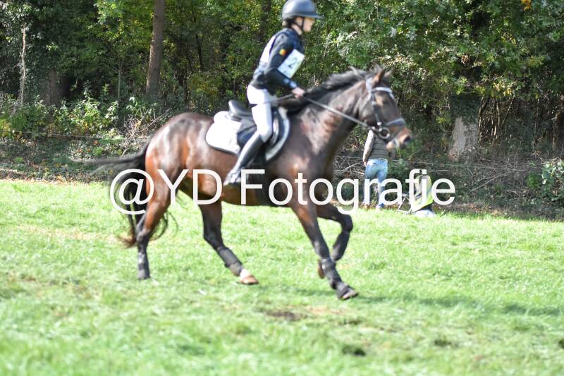 eventing-merksplas-8763-standard.jpg
