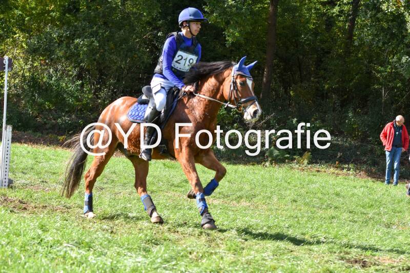 eventing-merksplas-8781-standard.jpg