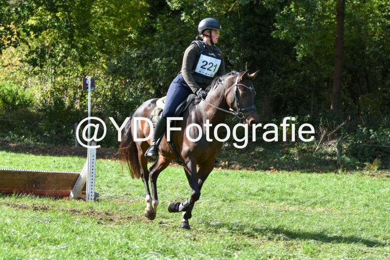 eventing-merksplas-8797-standard.jpg