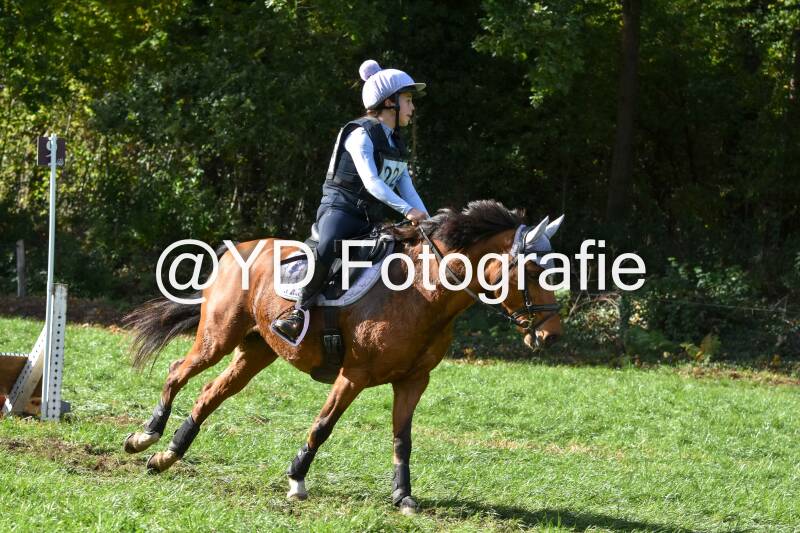 eventing-merksplas-8810-standard.jpg