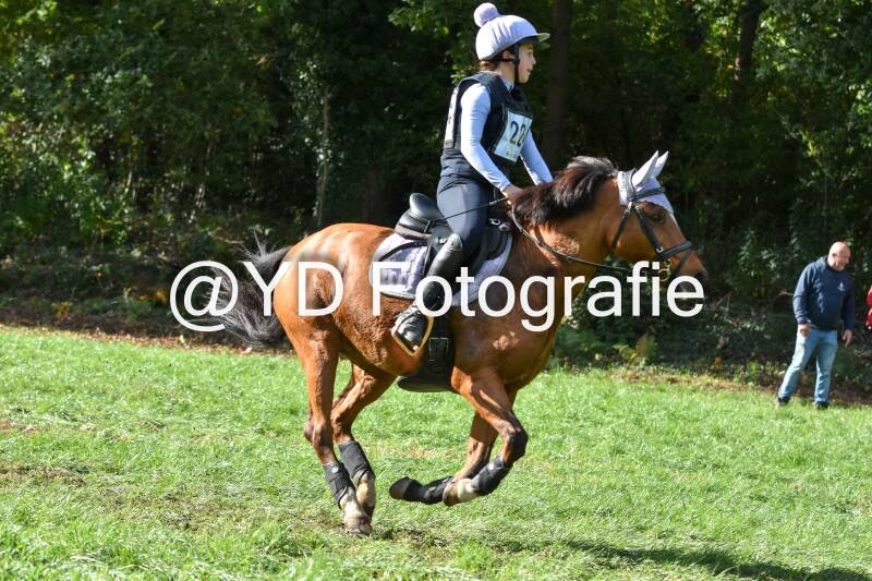 eventing-merksplas-8811-standard.jpg
