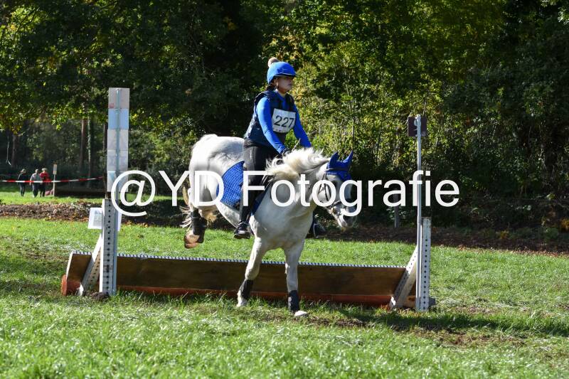 eventing-merksplas-8830-standard.jpg