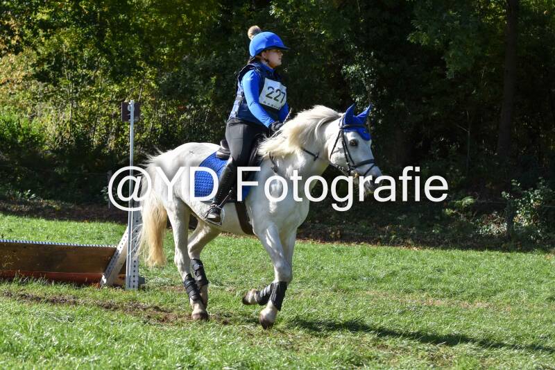 eventing-merksplas-8833-standard.jpg