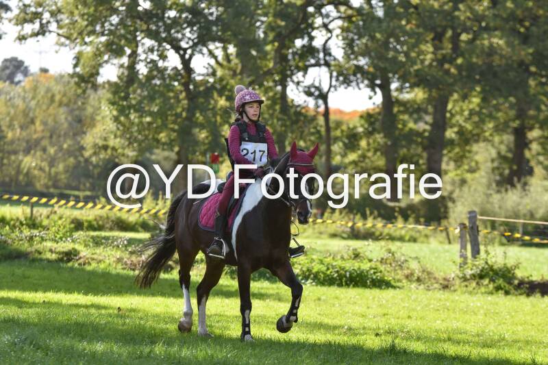 eventing-merksplas-8848-standard.jpg