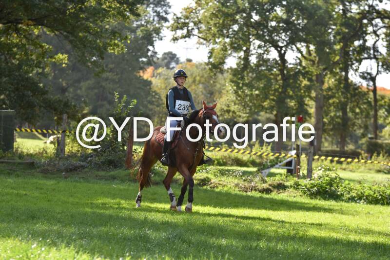 eventing-merksplas-8849-standard.jpg
