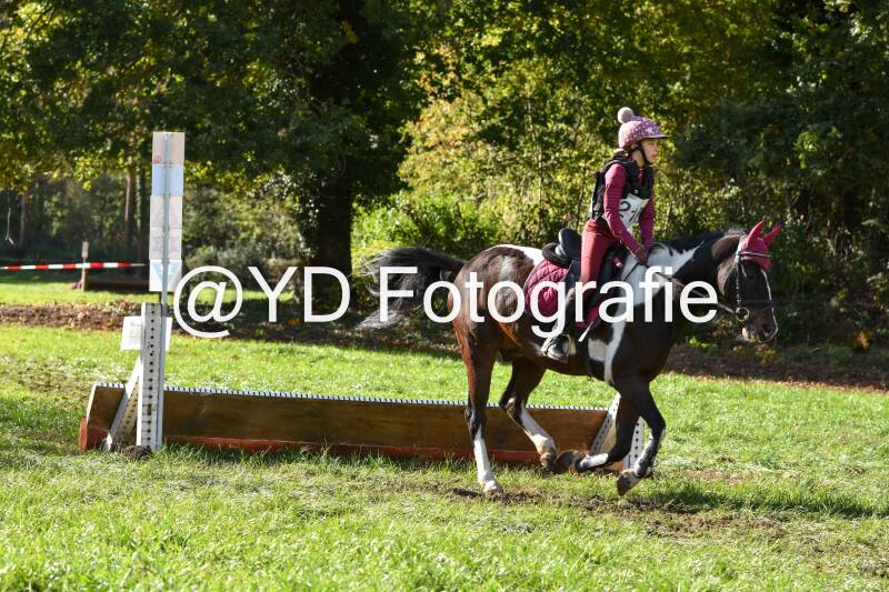 eventing-merksplas-8853-standard.jpg