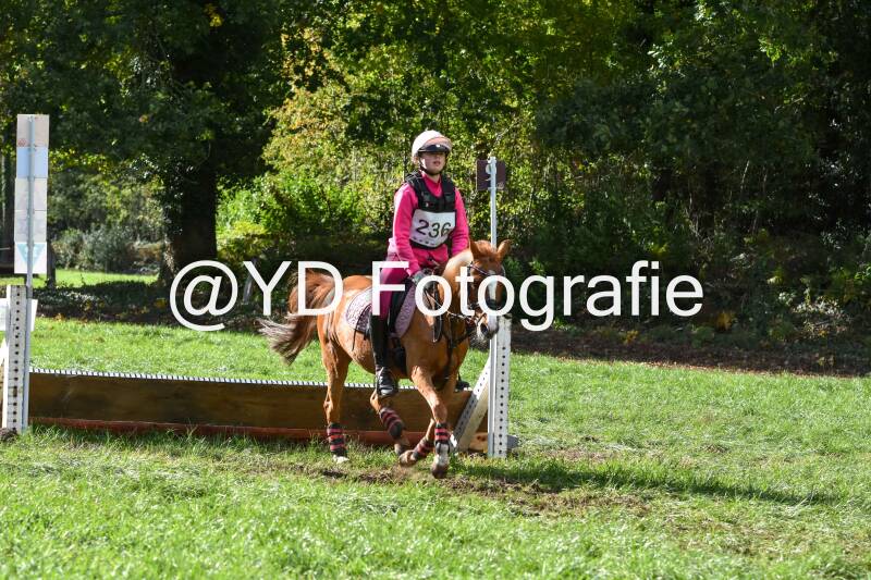 eventing-merksplas-8874-standard.jpg