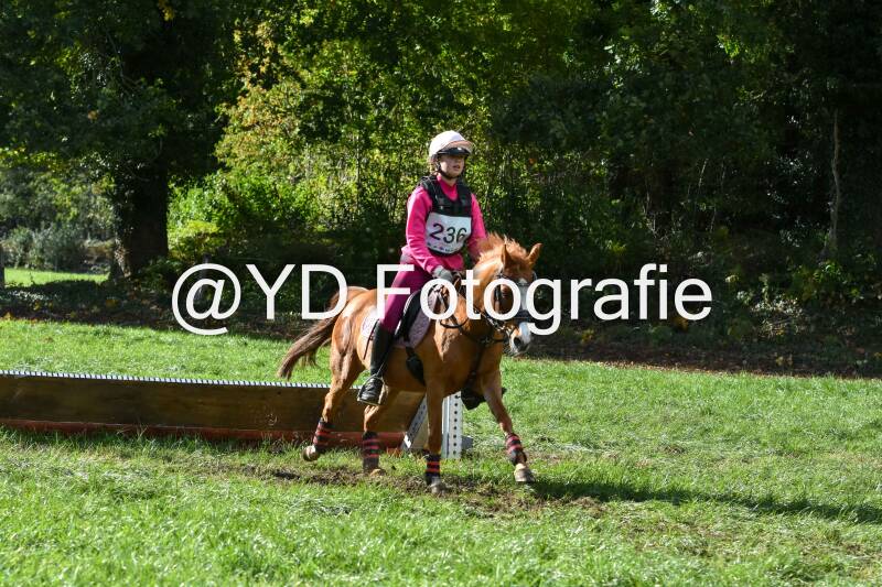 eventing-merksplas-8875-standard.jpg