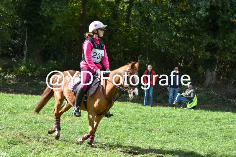 eventing-merksplas-8876-standard.jpg