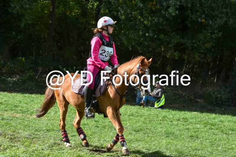eventing-merksplas-8877-standard.jpg