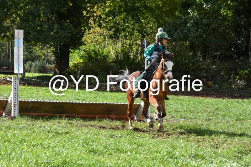 eventing-merksplas-8887-standard.jpg