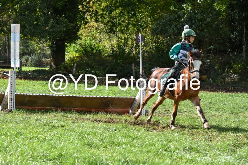 eventing-merksplas-8888-standard.jpg