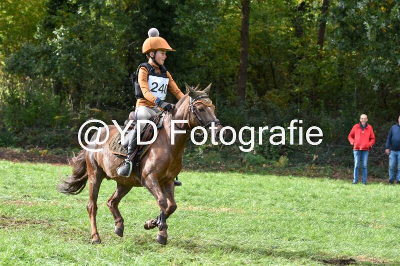 eventing-merksplas-8900-standard.jpg