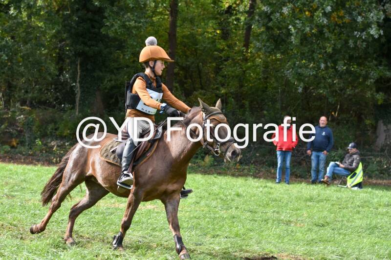 eventing-merksplas-8901-standard.jpg