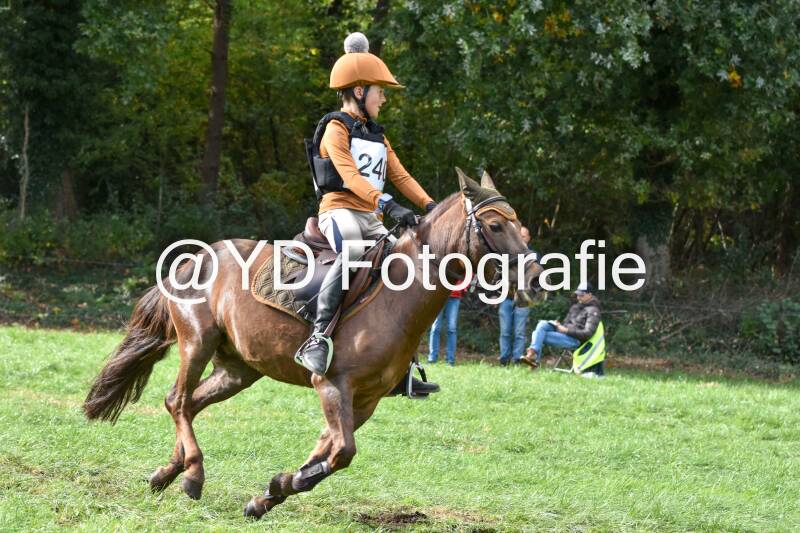 eventing-merksplas-8902-standard.jpg