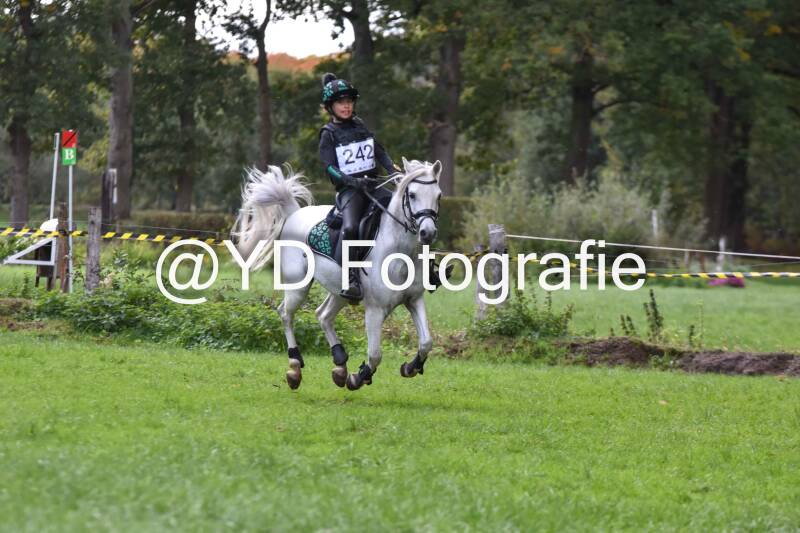 eventing-merksplas-8910-standard.jpg
