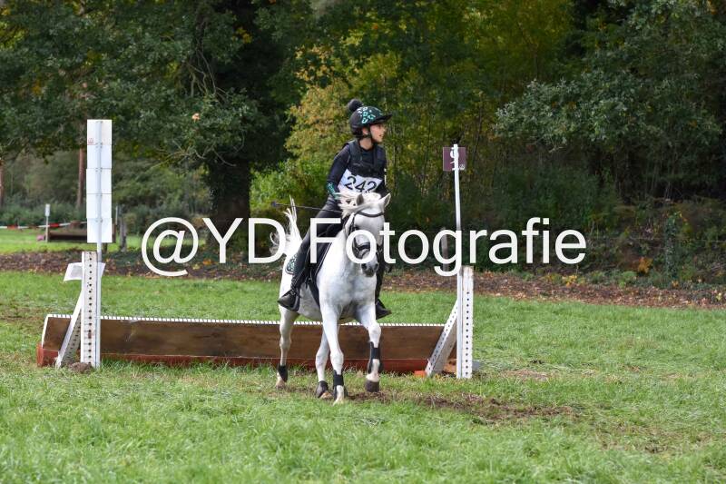eventing-merksplas-8916-standard.jpg