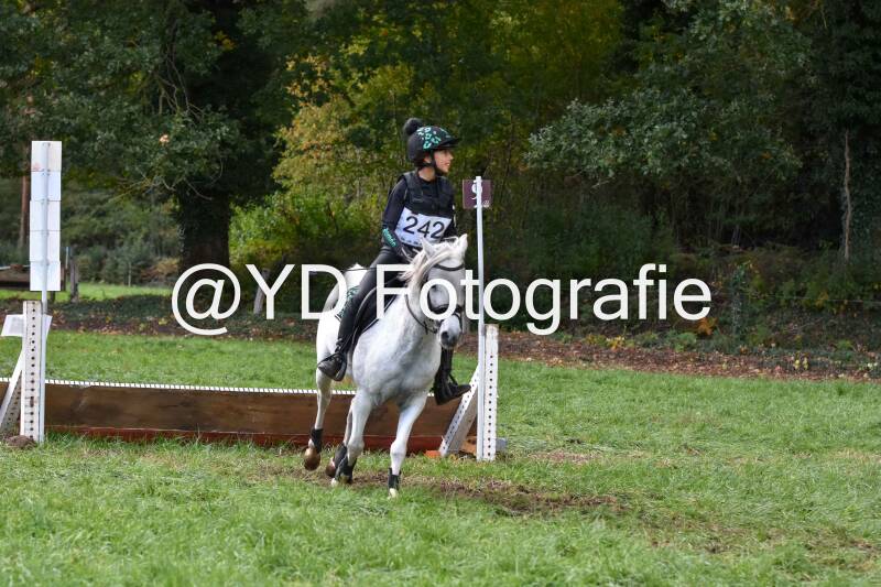 eventing-merksplas-8917-standard.jpg