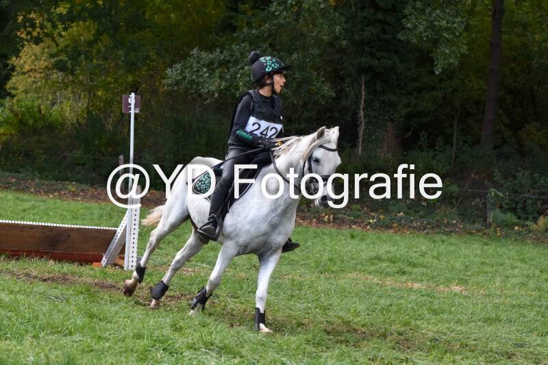 eventing-merksplas-8920-standard.jpg